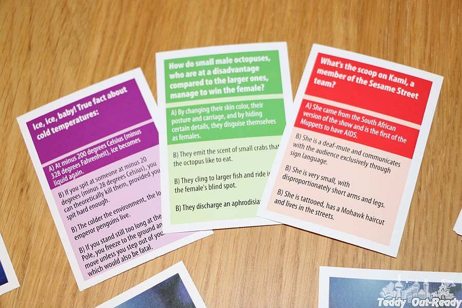 .TeddyOutReady Fake News Or Not? Board Game